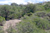 New Mexico Landscape